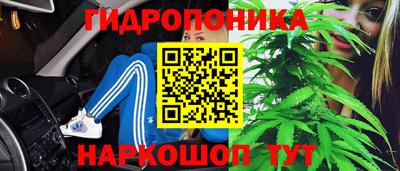 альфа пвп Гусев