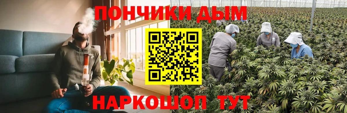 Канабис Amnesia Ишим